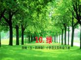 人教部編版（五四制）四年級下冊第三單元——10綠課件PPT