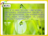 人教部編版（五四制）四年級下冊第三單元——10綠課件PPT