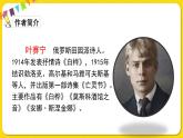 人教部編版（五四制）四年級下冊第三單元——11白樺課件PPT