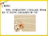 人教部编版（五四制）二年级下册识字（一）识字   3 贝的故事课件PPT