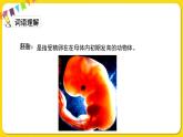 人教部編版（五四制）五年級下冊第七單元——23童年的發(fā)現(xiàn)課件PPT