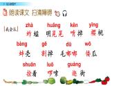 五下 2 祖父的园子课件PPT
