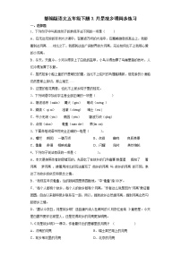 小学语文人教部编版五年级下册3* 月是故乡明课堂检测