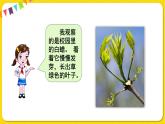 人教部编版（五四制）三年级下册第一单元——第一单元习作课件PPT