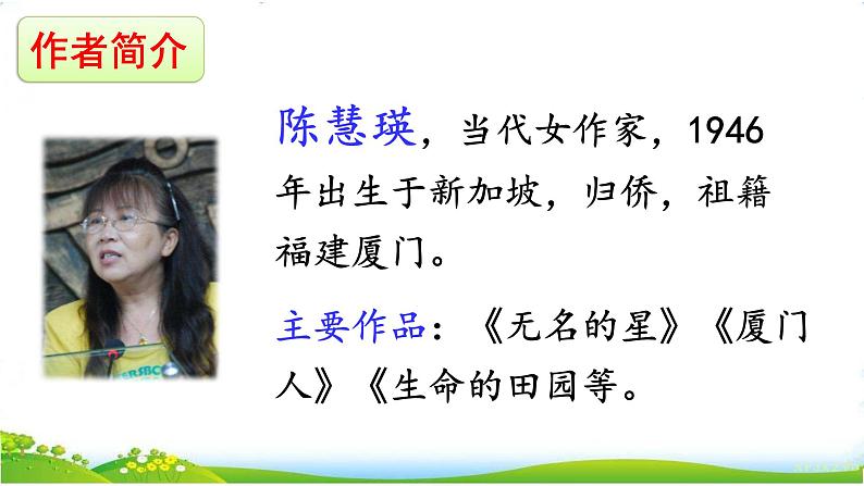 4《梅花魂》课件+素材05