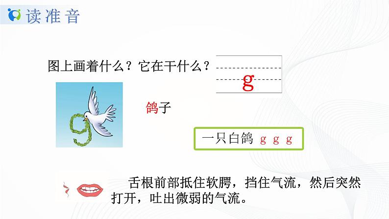 人教部编版语文一上 汉语拼音《gkh》 课件PPT+教案+练习07