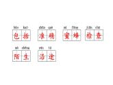 人教版（部编版）小学语文三年级下册  第四单元  复习课件   课件