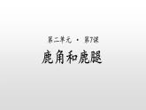 部编版语文三年级下-02第二单元-03鹿角与鹿腿-课件08