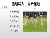 部编版语文三年级下-02第二单元-03鹿角与鹿腿-课件08