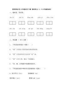 人教部编版六年级下册11 十六年前的回忆习题