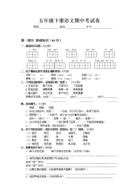 部编版教版五年级下册语文期中 模拟试卷测试卷