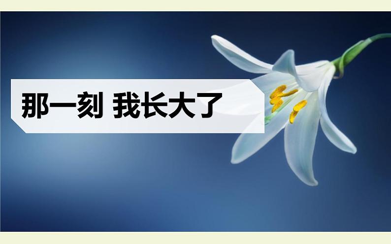 人教版（部编版）小学语文五年级下册  习作：那一刻，我长大了  课件第1页