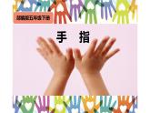 人教版（部编版）小学语文五年级下册  22.手指 课件
