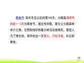 人教版（部编版）小学语文六年级下册  3.古诗三首  寒食  课件