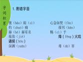 人教版（部编版）小学语文五年级下册  第六单元  复习  课件