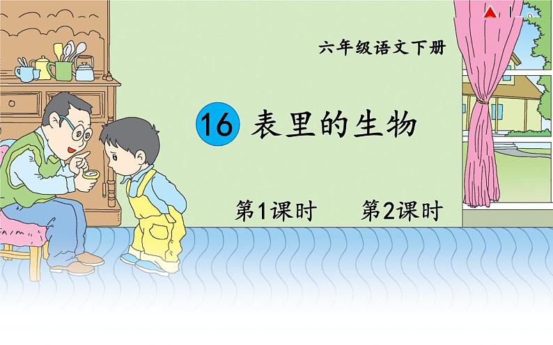 人教版（部编版）小学语文六年级下册  16.表里的生物 课件第1页