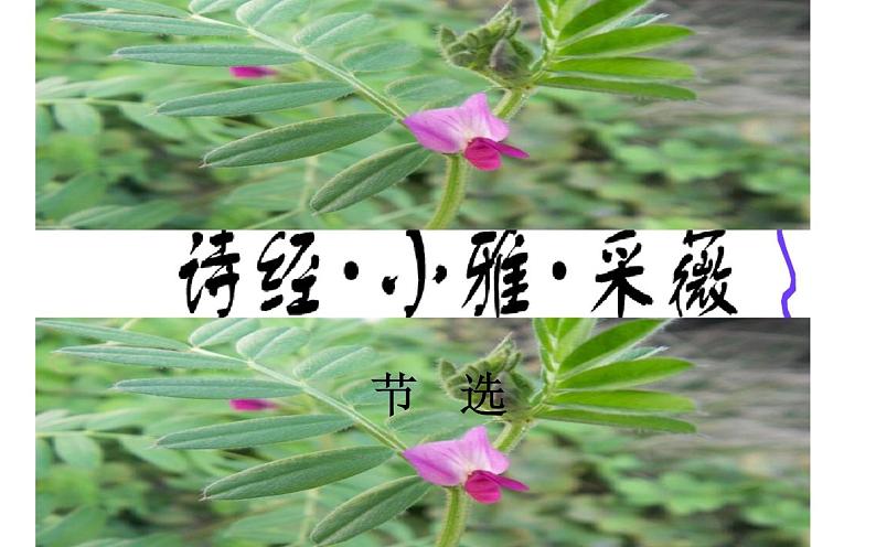 人教版（部编版）小学语文六年级下册  古诗词诵读 1.采薇（节选）   课件01