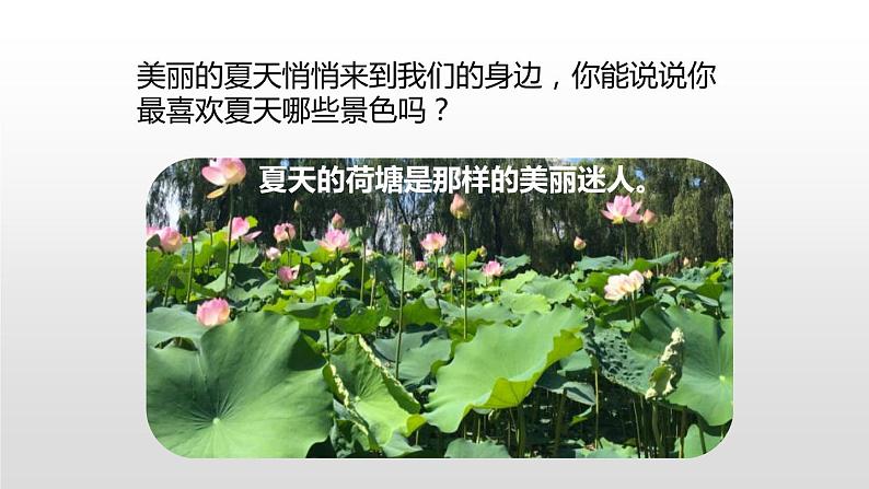 人教部编版一年级下册课文池上同步备课ppt课件第3页