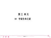 六年级上册部编版语文习题课件  第3单元 10　宇宙生命之谜