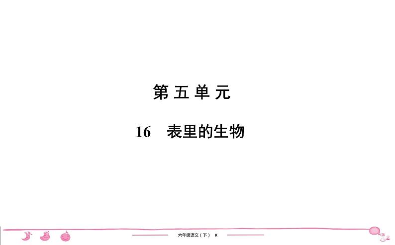 六年级下册人教版语文习题课件 第5单元 16　表里的生物01