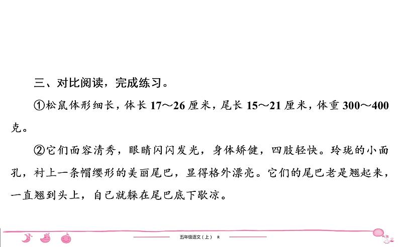 五年级上册部编版语文习题课件  第5单元 17　松　　鼠06