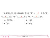 五年级上册部编版语文习题课件 第1单元 2　落　花　生