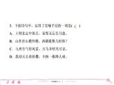 五年级上册部编版语文习题课件 第4单元 12　古 诗 三 首