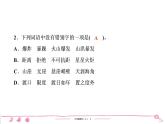六年级上册部编版语文习题课件  第2单元检测