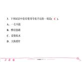 六年级下册人教版语文习题课件 第3单元 期中检测