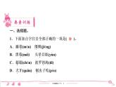 六年级下册人教版语文习题课件 第2单元 6　骑鹅旅行记(节选)