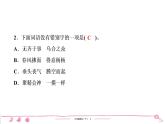 六年级下册人教版语文习题课件 第2单元 6　骑鹅旅行记(节选)