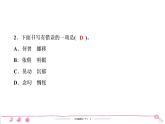 六年级下册人教版语文习题课件 第3单元检测
