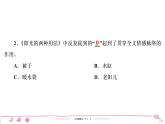 六年级下册人教版语文习题课件 第3单元 习作例文与习作训练