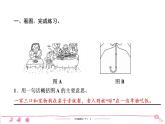 六年级下册人教版语文习题课件 期末专项复习 非连续性文本阅读