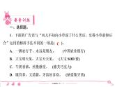 六年级下册人教版语文习题课件 期末专项复习 语言运用及口语交际