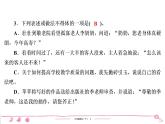 六年级下册人教版语文习题课件 期末专项复习 语言运用及口语交际