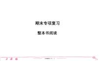 六年级下册人教版语文习题课件 期末专项复习 整本书阅读