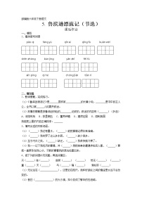 人教部编版六年级下册第二单元5 鲁滨逊漂流记（节选）练习