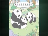 三年级下册语文 第7单元习作 国宝大熊猫 PPT课件（共2课时）