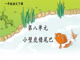 一年级下册语文看图说话 第八单元 小壁虎借尾巴 PPT课件