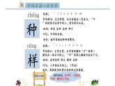 人教部编版小学语文一年级下册第二单元《一个接一个》课件