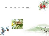 五年级下册课件 2 祖父的园子