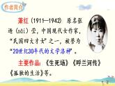 2.祖父的园子课件+听写+笔顺+朗读