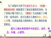 交流平台 初试身手课件PPT
