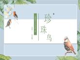 部编版语文五年级上册《4﹡珍珠鸟》课件