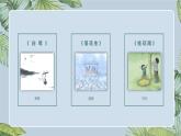 部编版语文五年级上册《4﹡珍珠鸟》课件