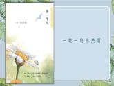 部编版语文五年级上册《4﹡珍珠鸟》课件