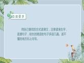 部编版语文五年级上册《4﹡珍珠鸟》课件