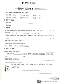 小学4* 昆虫备忘录课时作业