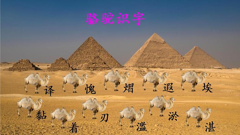 五年级下册语文课件-20 金字塔35页部编版第6页